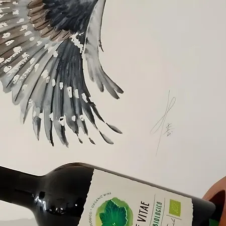 Zwergseeschwalbe